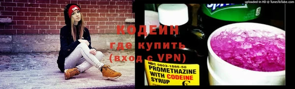 индика Абинск