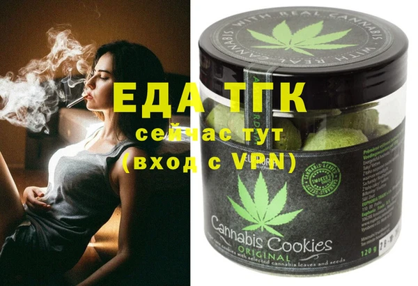 стаф Алзамай