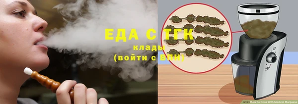 индика Абинск