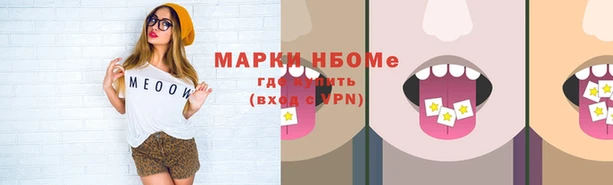 индика Абинск