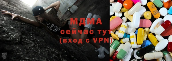 индика Абинск
