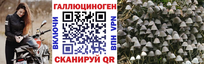 купить   Ялта  Галлюциногенные грибы мицелий 